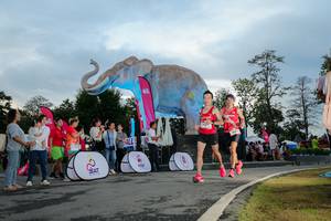 BIB: 
                            <button type="button" onclick="openModal(26529376)" class="btn btn-primary btn-sm float-right btn-popup" data-toggle="modal" data-target=".modal-high-quality">
                        <i class="fas fa-shopping-cart"></i> Add to Cart
                    </button>
                                            <button type="button" onclick="isThisMe(26529376, true)" class="btn btn-success btn-sm float-right btn-popup btn-isme hidden" data-toggle="tooltip" data-placement="bottom" title="นี่คือรูปของคุณใช่ไหม คลิกที่นี่เพื่อเอาเข้าอัลบั้ม">
                        <i class="fas fa-plus"></i> Add to album
                    </button>
                    <button type="button" onclick="isThisMe(26529376, false)" class="btn btn-warning btn-sm float-right btn-popup btn-isnotme hidden">
                        <i class="fas fa-ban"></i> Remove from album
                    </button>